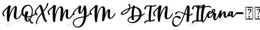 NQXMYM DINAIterna字体转换